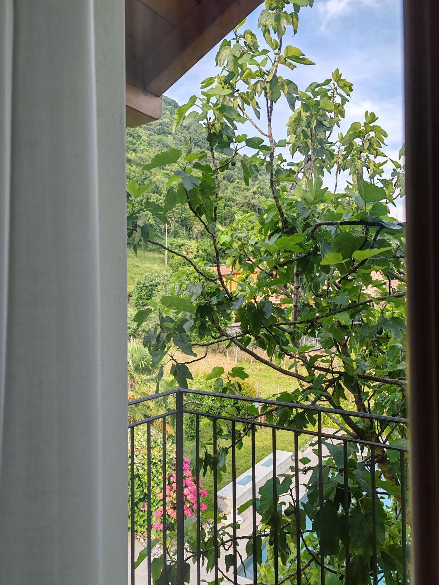Casa Fontanera Ξενοδοχείο Gravedona Εξωτερικό φωτογραφία
